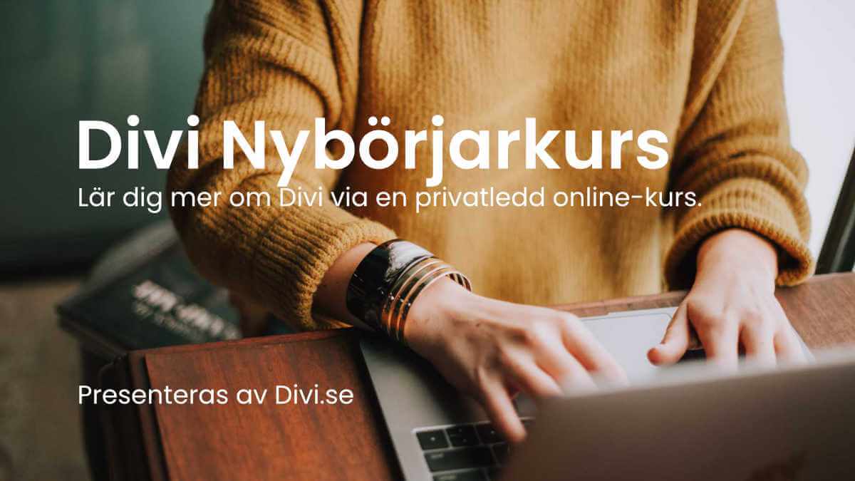 Divi nybörjarkurs – Boka din privata kurs via divi.se